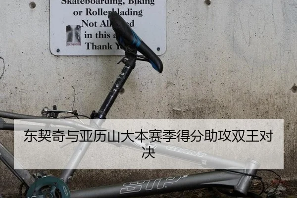 东契奇与亚历山大本赛季得分助攻双王对决