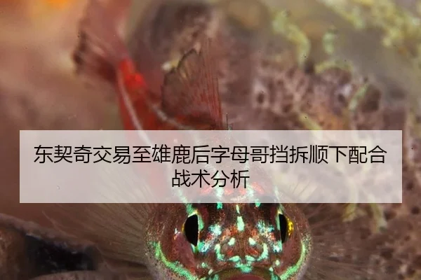 dong-qi-qi-jiao-yi-zhi-xiong-lu-hou-zi-mu-ge-dang-chai-shun-xia-pei-he-zhan-shu-fen-xi-2-334.jpg