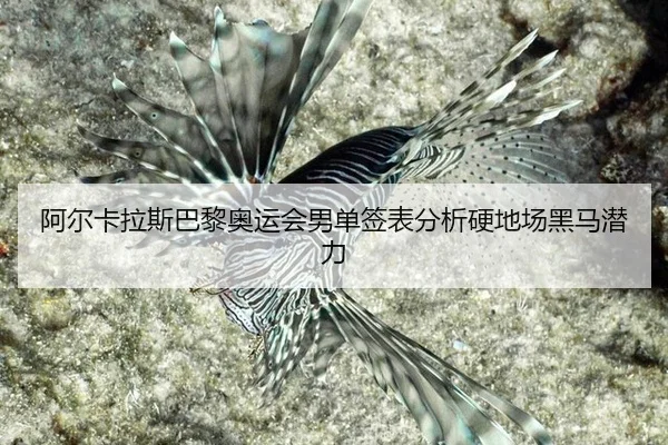 a-er-ka-la-si-ba-li-ao-yun-hui-nan-dan-qian-biao-fen-xi-ying-di-chang-hei-ma-qian-li-2-480.jpg